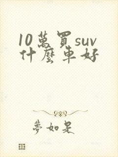 10万买suv什么车好