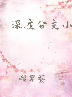 深夜公交小说