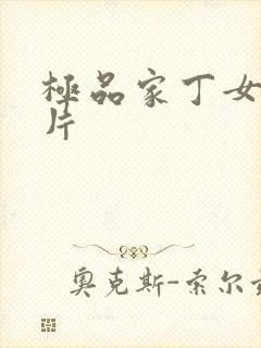 极品家丁女主图片