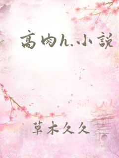高肉h.小说