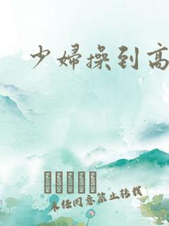 少妇操到高潮