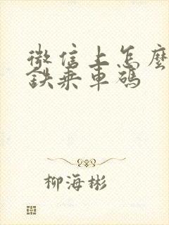 微信上怎么找地铁乘车码
