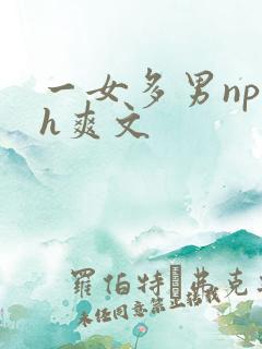 一女多男np巨h爽文