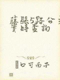 藤县5路公交车实时查询
