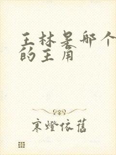 王林是哪个小说的主角