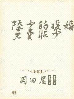 陆少的暖婚新妻免费版少 陆少的暖婚新妻免费版少