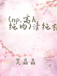 (np,高h,纯肉)清纯校花