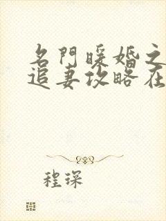名门暖婚之权爷追妻攻略在哪看 名门暖婚之权爷追妻攻略在哪看