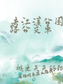 去江滨公园坐几路公交车