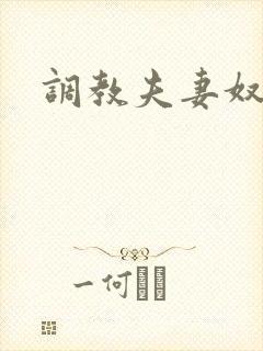 调教夫妻奴小说