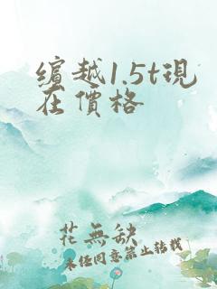 缤越1.5t现在价格