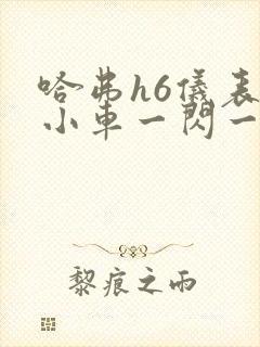 哈弗h6仪表盘小车一闪一闪