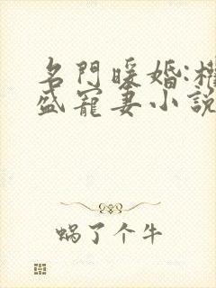 名门暖婚:权爷盛宠妻小说