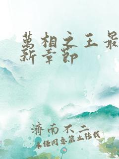 万相之王最快更新章节