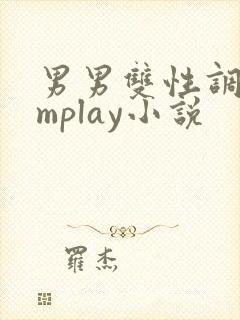 男男双性调教smplay小说