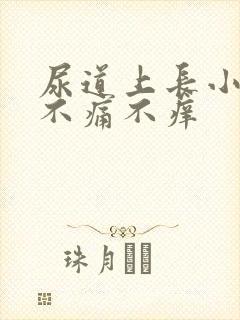 尿道上长小水泡不痛不痒