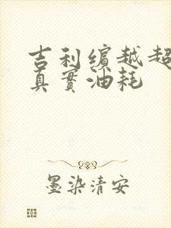 吉利缤越超能版真实油耗