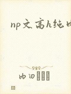 np文高h纯肉