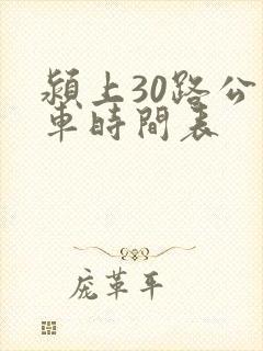 颍上30路公交车时间表