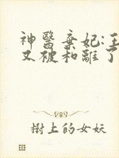 神医弃妃:王爷又被和离了 神医弃妃:王爷又被和离了