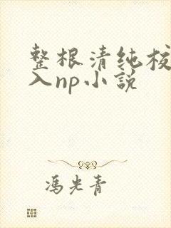 整根清纯校花插入np小说