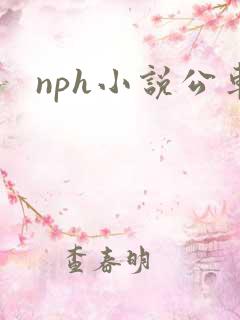 nph小说公车