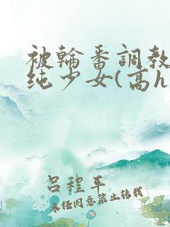 被轮番调教的清纯少女(高h