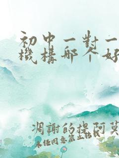 初中一对一辅导机构哪个好 初中一对一辅导机构哪个好