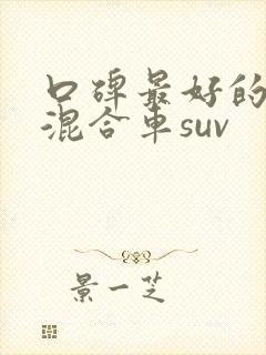 口碑最好的油电混合车suv 口碑最好的油电混合车suv