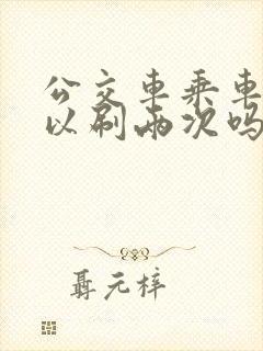公交车乘车码可以刷两次吗