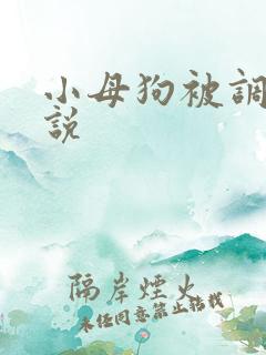 小母狗被调教小说 小母狗被调教小说