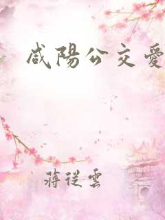 咸阳公交爱心卡