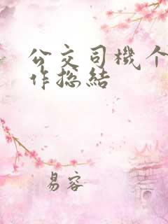 公交司机个人工作总结