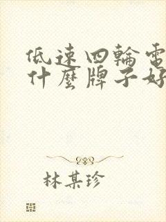低速四轮电动车什么牌子好