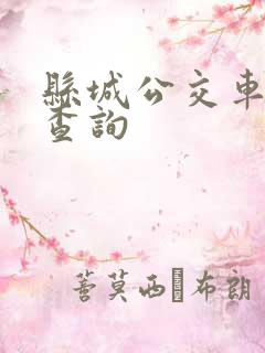 县城公交车实时查询 县城公交车实时查询