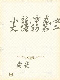 小说,穿成女装大佬的第二人格
