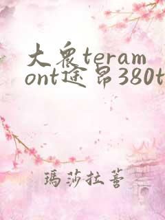 大众teramont途昂380tsi多少钱