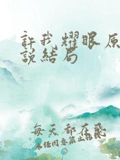 许我耀眼原著小说结局
