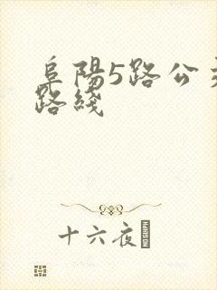 阜阳5路公交车路线