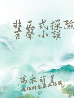 非正式探险笔记有声小说