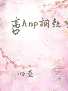 高hnp调教重口