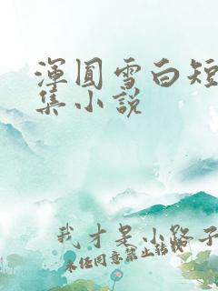 浑圆雪白短篇合集小说