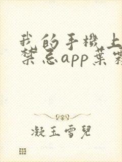 我的手机上全是禁忌app叶霖 我的手机上全是禁忌app叶霖