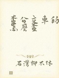 查公交车的时间怎么查