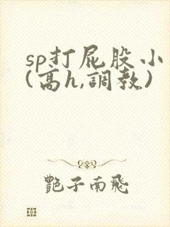 sp打屁股小说(高h,调教)
