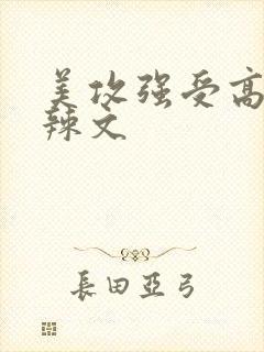 美攻强受高h肉辣文