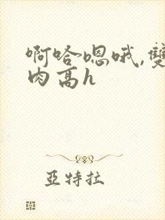 啊哈嗯哦,双性肉高h