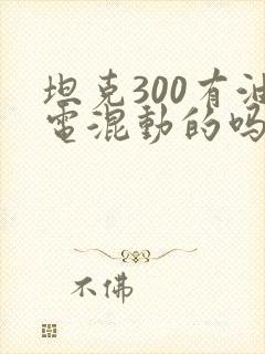 坦克300有油电混动的吗