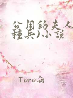 公用的夫人(特种兵)小说