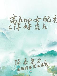 高hnp女配被c得好爽h